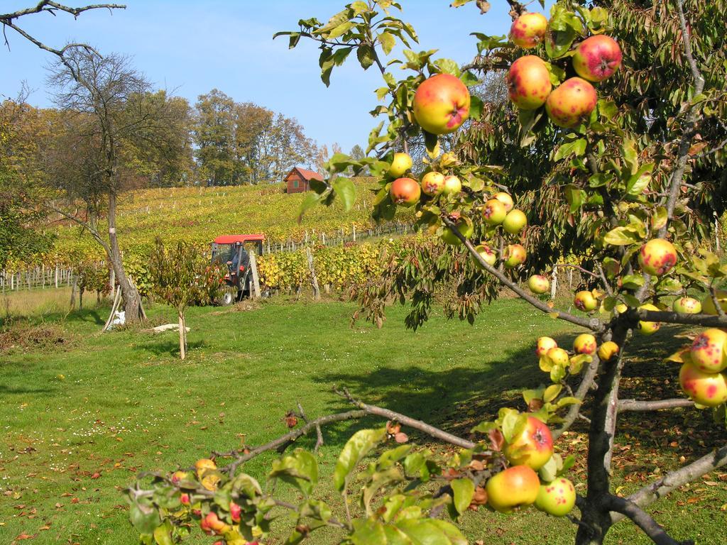 Gaestewohnung Ida Oberwart Esterno foto